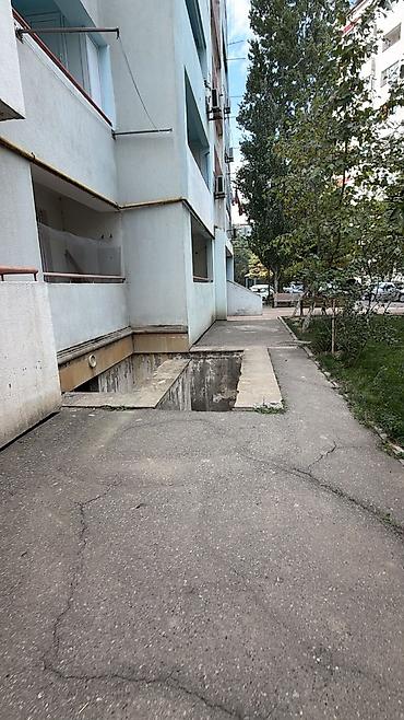 xaski it: Məhsul: Balaca it balaları Təsvir: - Şəkillərdə 2 fərqli cinsə bənzər — 4