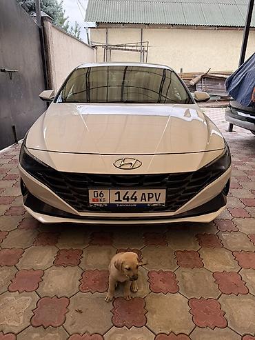 elantra 2022: Hyundai Avante: 2021 г., 1.6 л, Автомат, Газ, Седан — 1