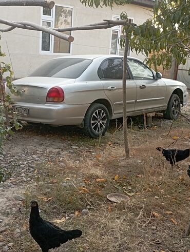хендай портер автомат: Hyundai Sonata: 2000 г., 2 л, Автомат, Бензин, Седан