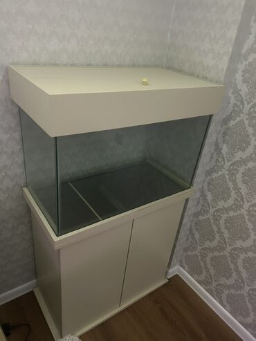 Akvariumlar: Dördbucaq akvarium, Boş, 140 l — 2