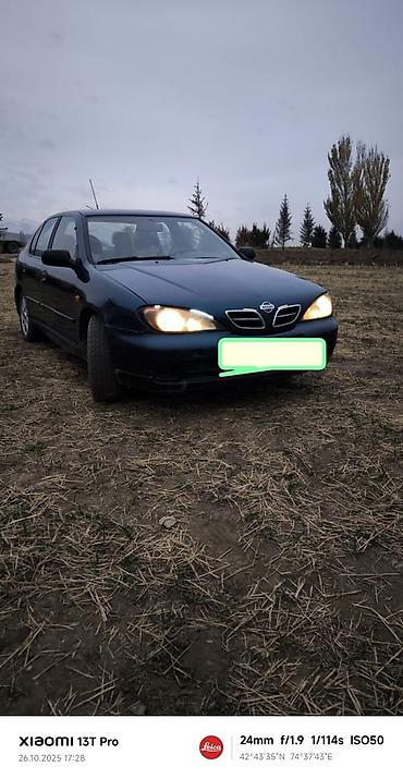 Nissan: Nissan Primera: 2000 г., 2 л, Механика, Бензин, Седан at lalafo.kg — 2 Nissan: Nissan Primera: 2000 г., 2 л, Механика, Бензин, Седан — 2
