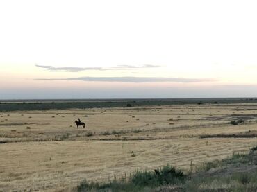 Torpaq sahələrinin satışı: 40000 sot, Kənd təsərrüfatı, Mülkiyyətçi, Müqavilə — 11