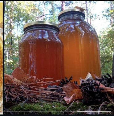 Bal: Məhsul: Kəlbəcər dağlarından toplanmış arı məhsulları Təsvir: - — 6