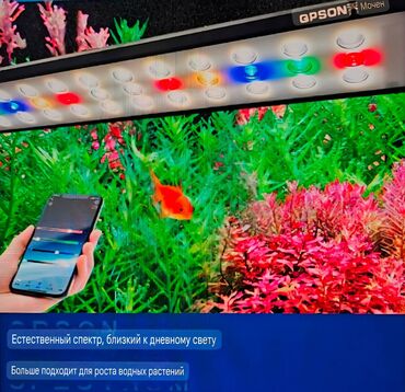 корм для рыб: Пресноводный умный RGBW светильник с управлением через Bluetooth