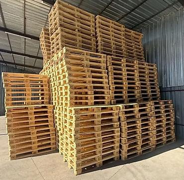 pip agaci: Pallet, 800 х 1200 sm, Ödənişli çatdırılma — 10