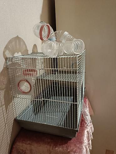 sican sekili: Hamster/qəbilə gəmiricilər üçün qəfəs və tunel dəsti - Metallik — 4