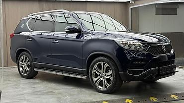 Ssangyong: Ssangyong Rexton: 2019 г., 2.2 л, Автомат, Дизель, Внедорожник — 2