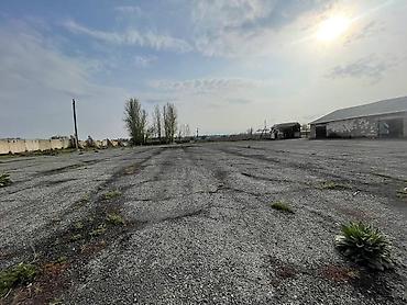 Продажа участков: 81 соток, Для бизнеса, Красная книга — 17