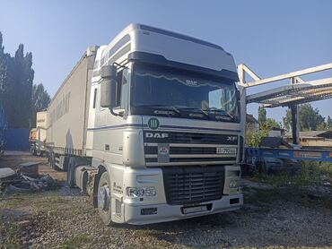 продаю авто мерс: Срочно продаю голову DAF в отличном состоянии сел поехал
