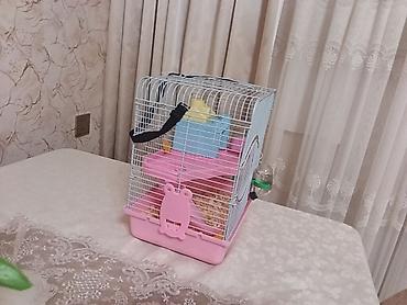 Qəfəslər: Siçan/hamster ile 2 mərtəbəli!qəfəs dəsti 'qızdı yemək və qumu ile — 3