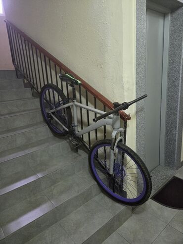qaçış velosipedi: Şəhər velosipedi 26", sürətlərin sayı: 1