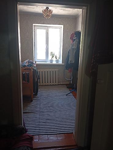 Деревянные штакетники: Деревянные штакетники, Покраска забора — 21