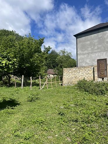 kiraye evler rayonlarda: 11 sot, Tikinti, Kupça (Çıxarış), Texniki pasport — 7