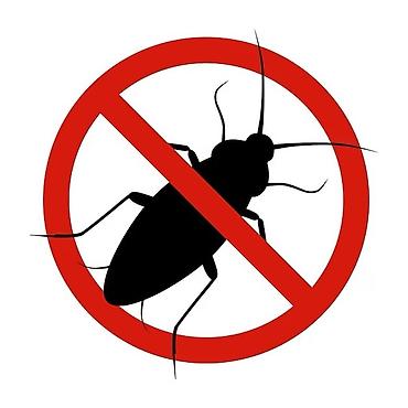 Дезинфекция, дезинсекция: Дезинфекция, дезинсекция, | Блохи, Вирусы, микробы, Клопы, | Дома, Кафе, магазины, Квартиры — 4