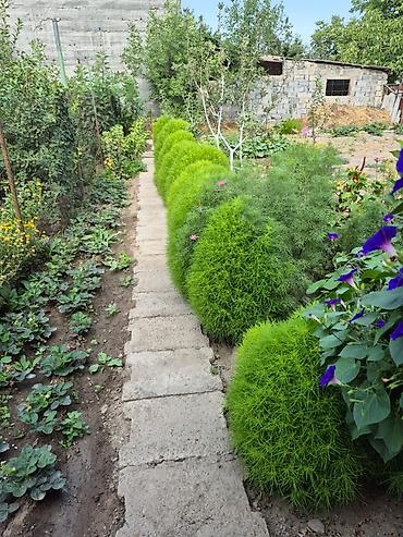 Долгосрочная аренда домов: 30 м², 1 комната, Парковка — 13