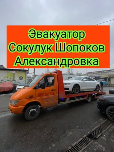 авто тряпка: С лебедкой