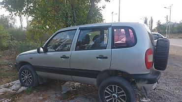 Chevrolet: Chevrolet Niva: 2009 г., Кроссовер — 4