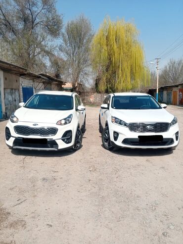 Kia: Kia Sorento: 2019 г., 2 л, Автомат, Дизель, Внедорожник