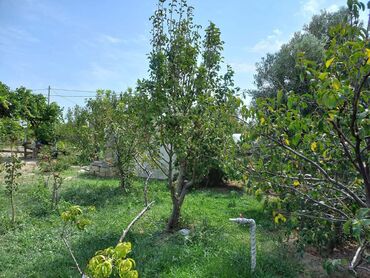 Bağ evlərinin satışı: Zeynalabdin Tağıyev, 90 kv. m, 3 otaqlı, Hovuzsuz — 11