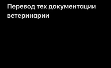 голосовой переводчик с кыргызского на русский фото: Услуги переводчика, Английский