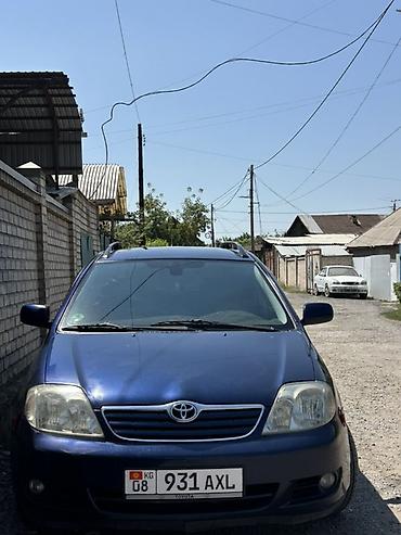 кок талаа: Toyota Corolla: 2004 г., Кол менен иштөөчү, Универсал — 1