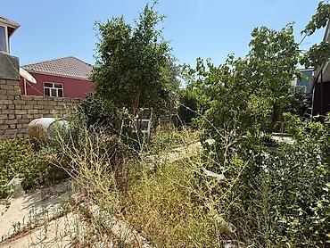 evler satisi: Heyet satilir 1 sotdan coxdur ev tikib 3/4 masinlig yerde qalir Qanuni — 1