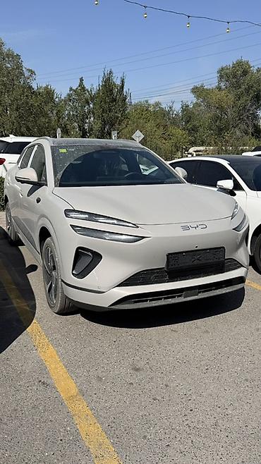mini ev: BYD Sea Lion 06: 2026 г., Электромобиль, Кроссовер — 1