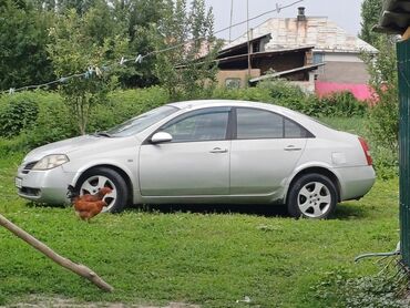 corolla runx: Nissan : 2002 г., 1.8 л, Механика, Бензин, Седан