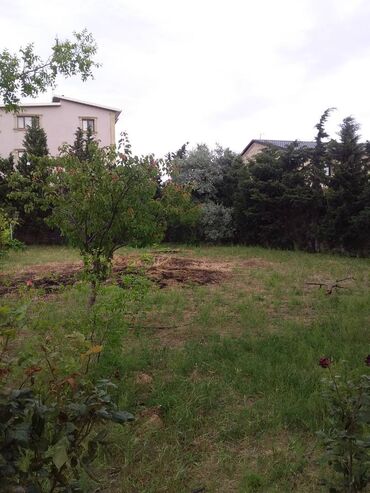 Bağ evlərinin satışı: Bakı, Mərdəkan, 200 kv. m, 5 otaqlı, Hovuzsuz, Qaz, Su, Kanalizasiya — 3