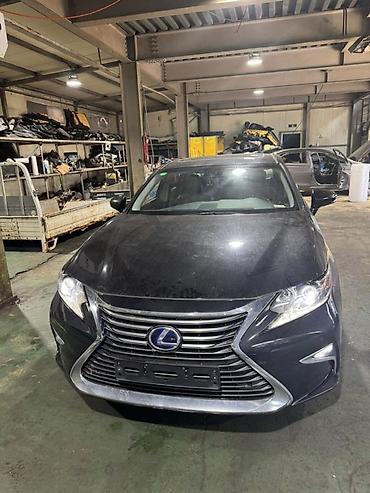 Капот Lexus, Б/у, Оригинал at lalafo.kg Капот Lexus, Б/у, Оригинал