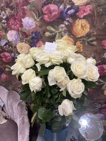 бордюрные розы купить бишкек: Семена и саженцы Пионов, Роз, Бесплатная доставка
