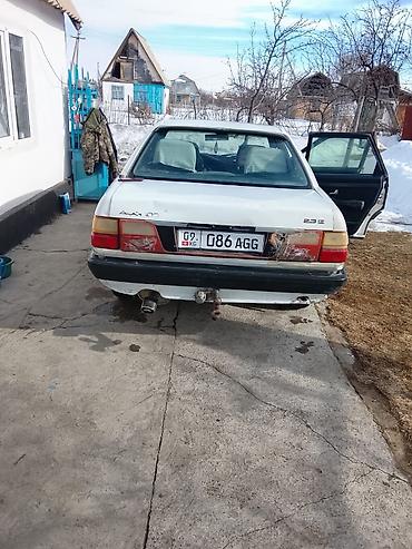 Audi: Audi 100: 1989 г., Седан — 7