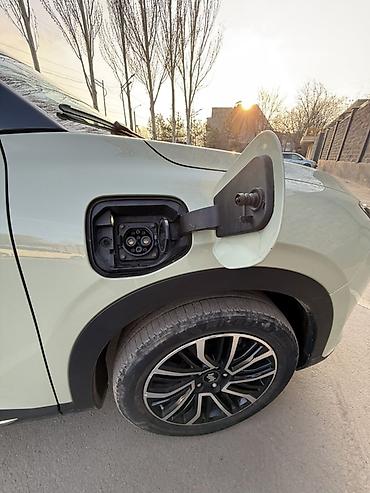 Weltmeister: Weltmeister W6, 2022 г. — 28