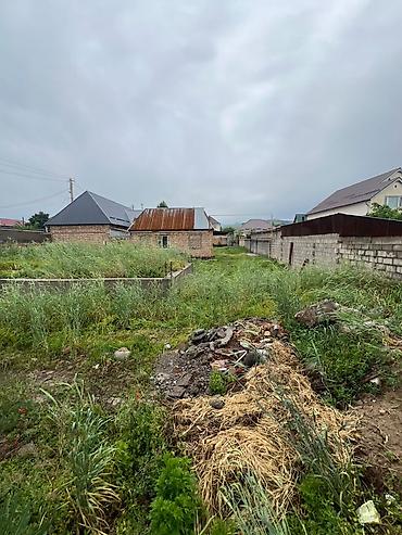арча ош: 🏡 Продается земельный участок с домом — Арча-Бешик — 3