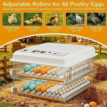 инкубаторы для яиц: 120 yumurtalı, ikiqat enerji mənbəli inkubator - 5 çıxartma rejimi: 4 — 2