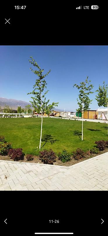 Иссык-Куль 2026: Коттедж, Палм Бич ЦО Palm Beach, Чок-Тал, Детская площадка, Парковка, стоянка, Охраняемая территория — 15