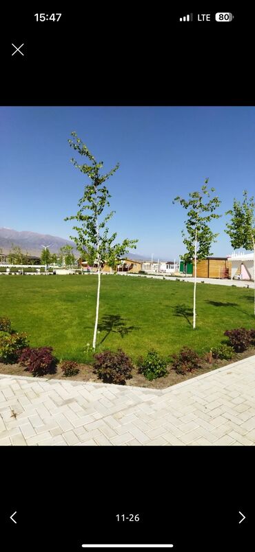 Иссык-Куль 2025: Коттедж, Центр Отдыха ЦО Palm Beach, Чок-Тал, Детская площадка, Парковка, стоянка, Охраняемая территория — 19