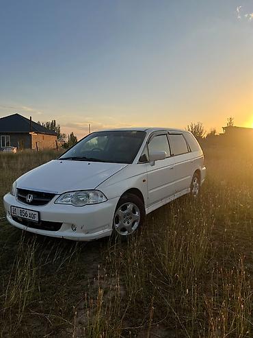 обвес аккорд 7: Honda Odyssey: 2000 г., 2.3 л, Автомат, Бензин, Минивэн — 1