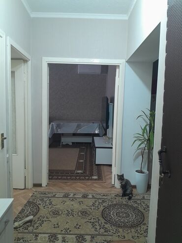 снять квартиру в канте: 3 комнаты, 63 м², 1 этаж
