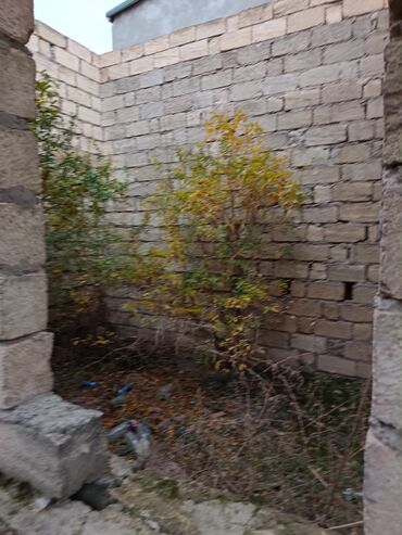 Həyət evləri və villaların satışı: 3 otaqlı, 3 kv. m, Təmirsiz — 8