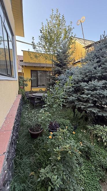 ботанический сад: 6 комнат и более, 285 м², 5 соток, Бишкек, ул. Карла Маркса Собственник — 4