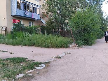 3 к: 1 комната, 37 м², Индивидуалка, 1 этаж, Старый ремонт — 1