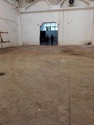 продаю кирпичный завод: 1150 м², С высокими потолками — 1
