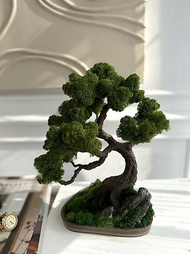 Другой декор и предметы интерьера: Декоративное дерево бонсай, выполненное из стабилизированного мха — 41