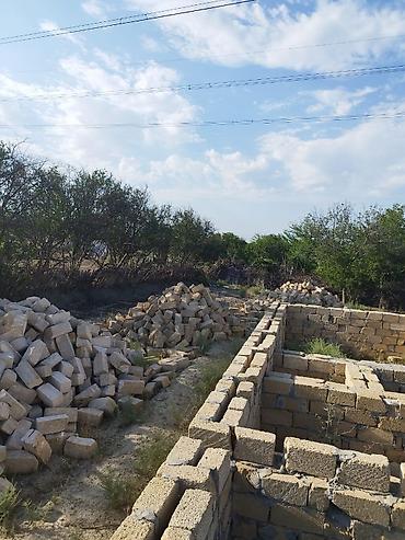 visnofkada torpaq: 6 sot, Tikinti, Mülkiyyətçi, Kupça (Çıxarış) — 1
