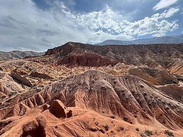Посуточная аренда домов: Гостевой домик-студия (садовый домик/мини-дача) - Планировка: одна — 17
