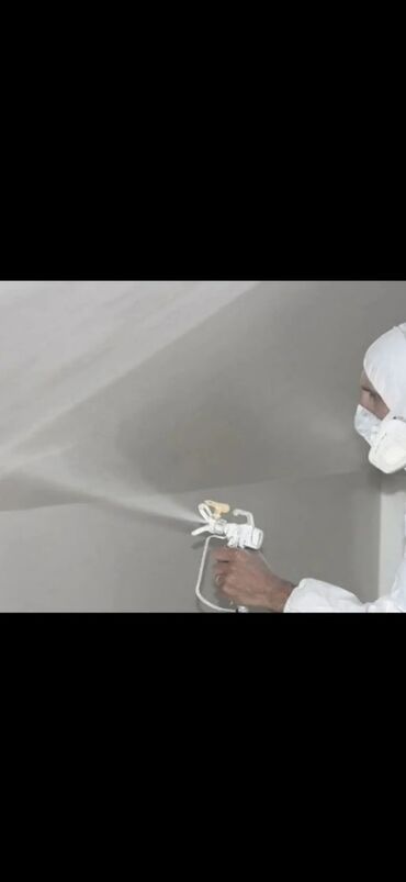 Покраска: Покраска стен, Больше 6 лет опыта — 3