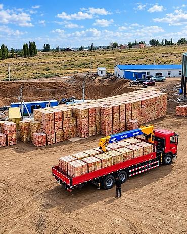 Кирпич, строительные блоки: Пустотелый, дырчатый, Жженый кирпич, Одинарный, 250×120×65 — 7