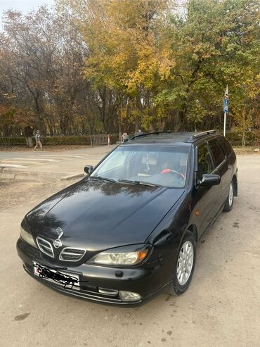 рено премиум фара: Nissan Primera: 2001 г., 1.8 л, Механика, Бензин, Универсал