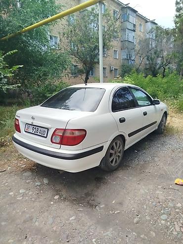 dodge charger: Nissan Almera: 2001 г., 1.8 л, Автомат, Бензин, Седан — 2